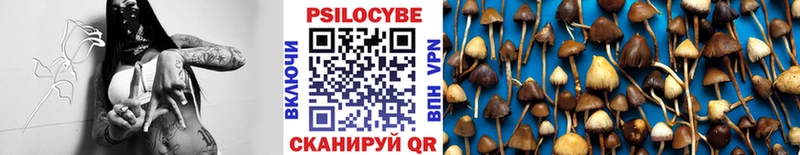 наркошоп  Туймазы  Галлюциногенные грибы GOLDEN TEACHER 